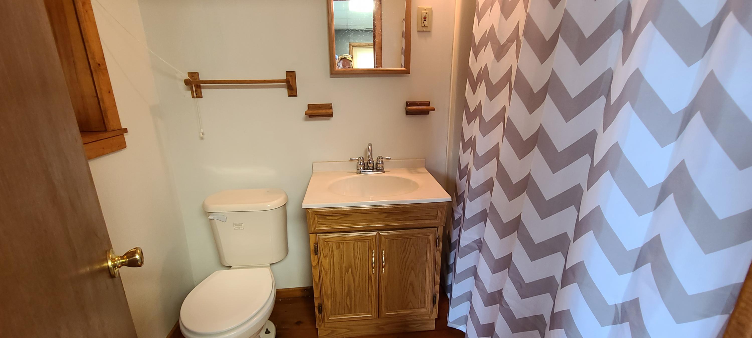 6331 Horseshoe Bend Road Goodview, VA 24095 - Photo 35 of 75 a bathroom with a sink and toilet
