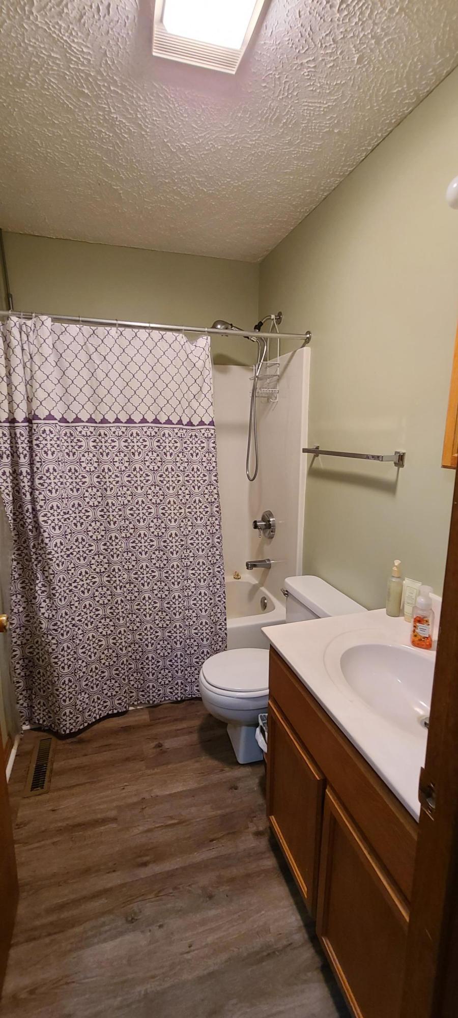 6331 Horseshoe Bend Road Goodview, VA 24095 - Photo 45 of 75 a bathroom with a sink a toilet and a mirror