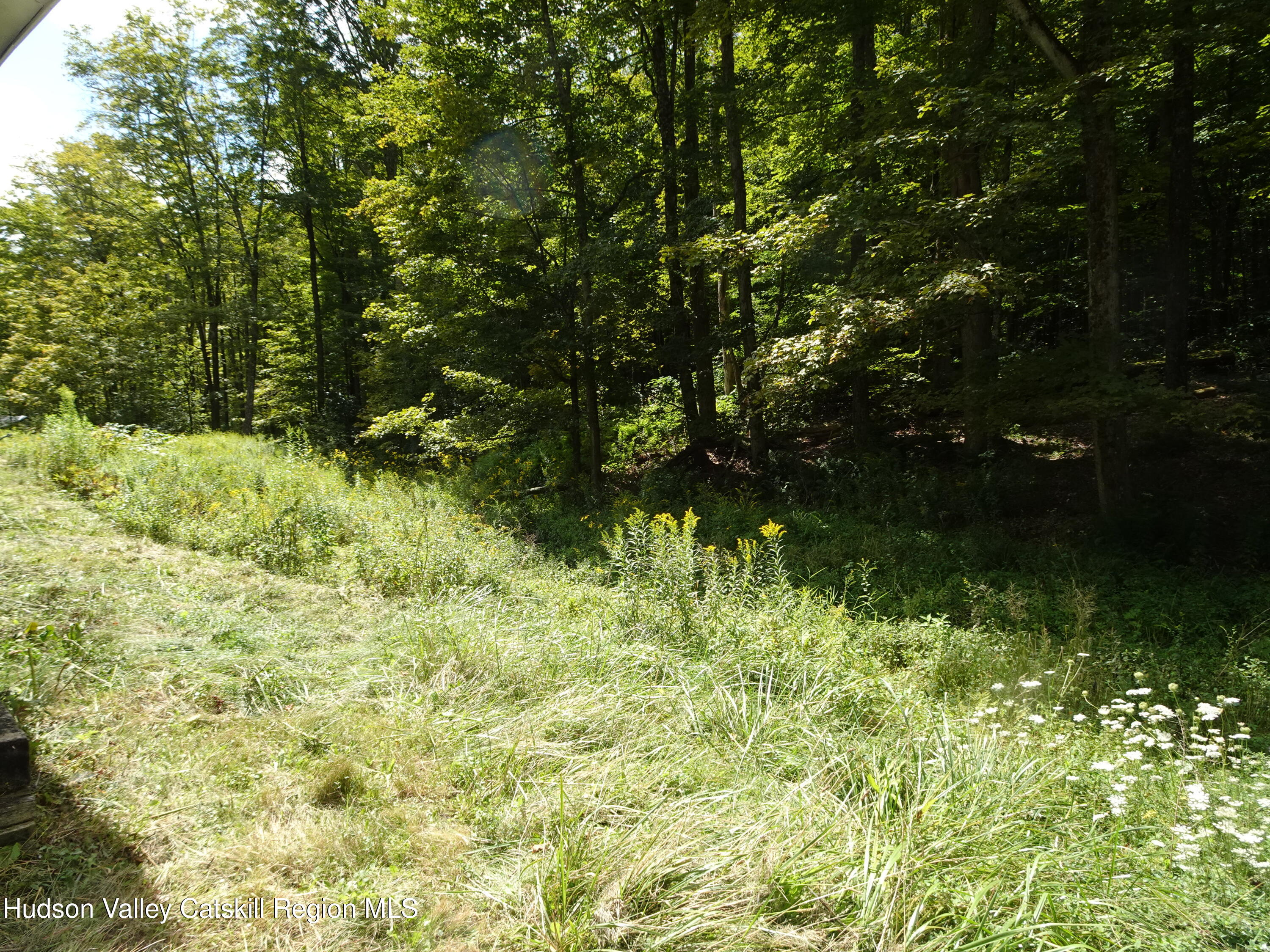 158 Middle Road Austerlitz, NY 12017 - Photo 19 of 21 a backyard of a house with lots of green space and lake view