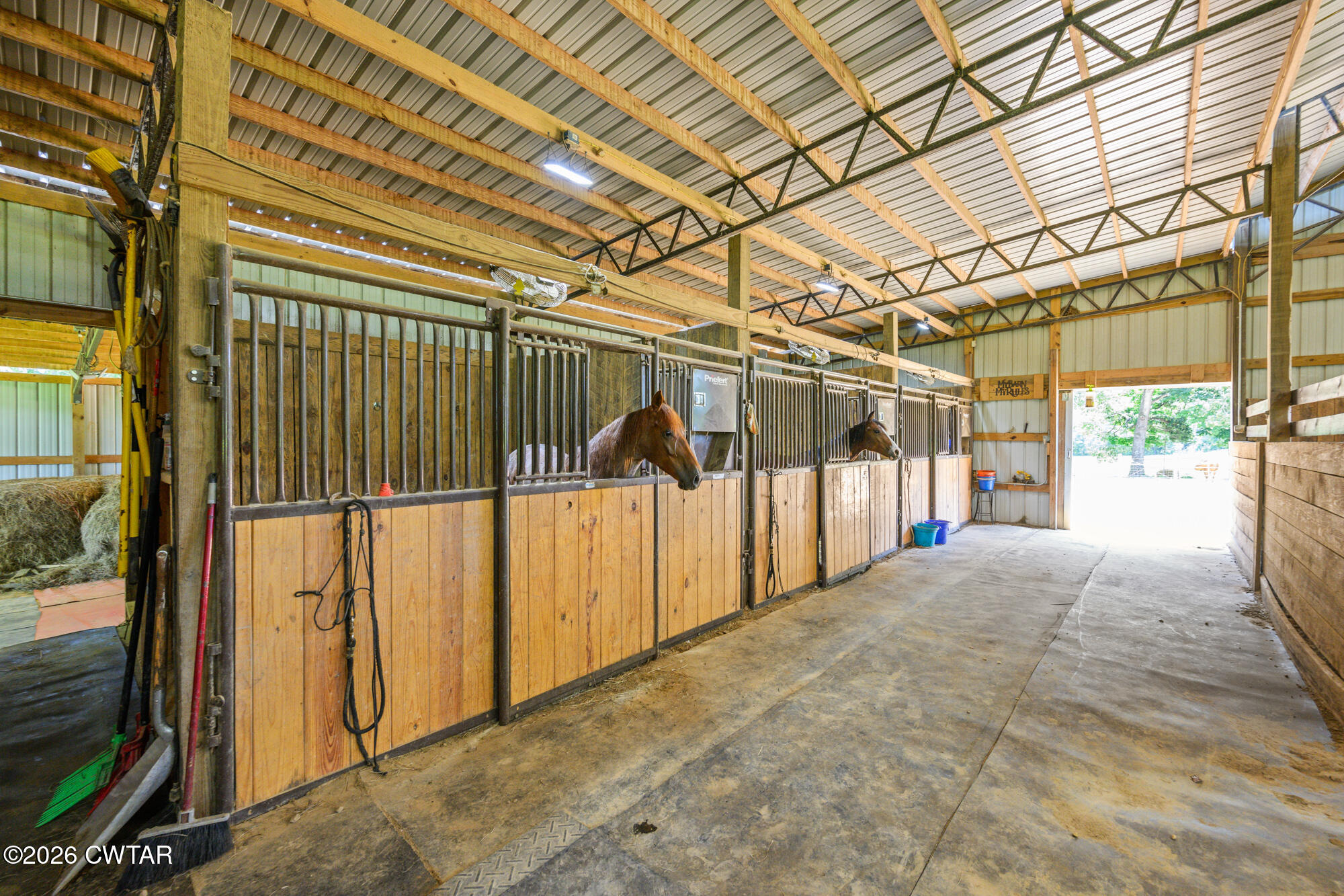 3685 Henderson Road Sardis, TN 38371 - Photo 7 of 31 NZ9_8195