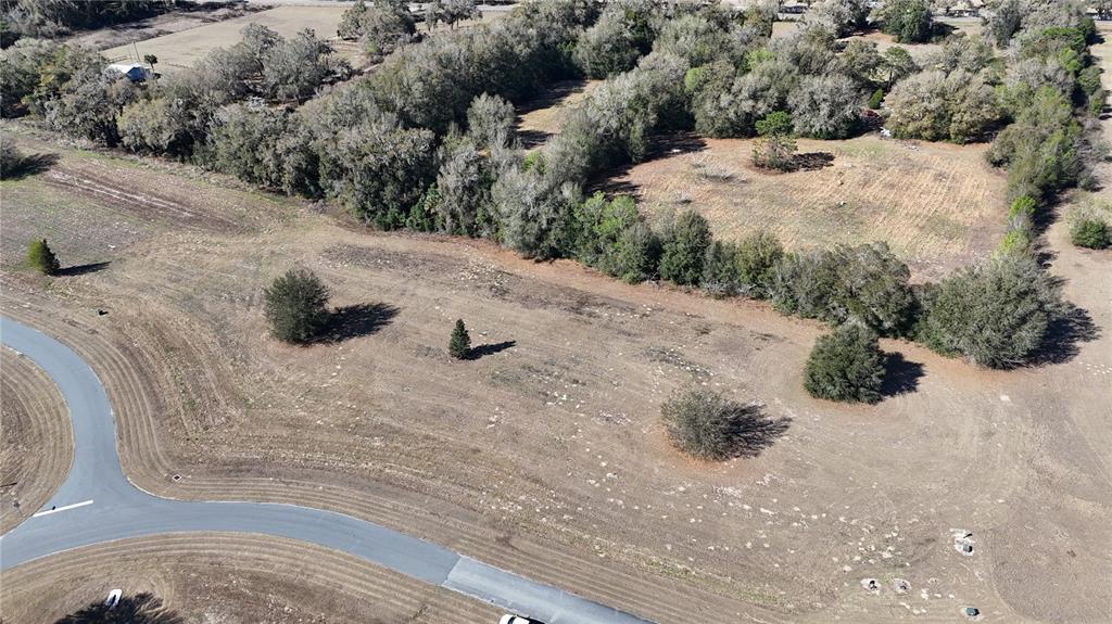 0 Southeast 7th Court Ocala, FL 34480 - Photo 5 of 10 a view of a dry yard with trees