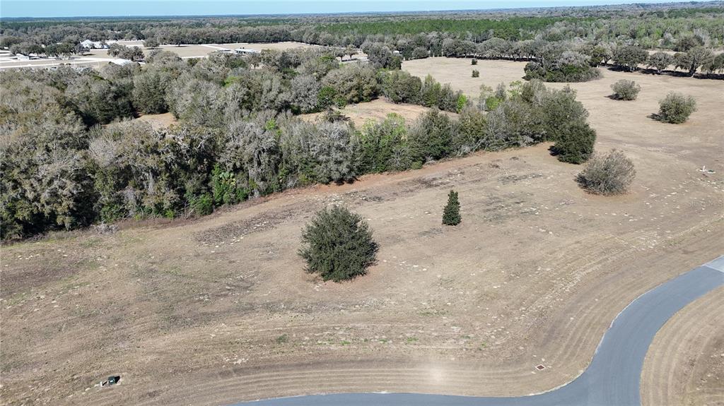 0 Southeast 7th Court Ocala, FL 34480 - Photo 8 of 10 a view of a lake view