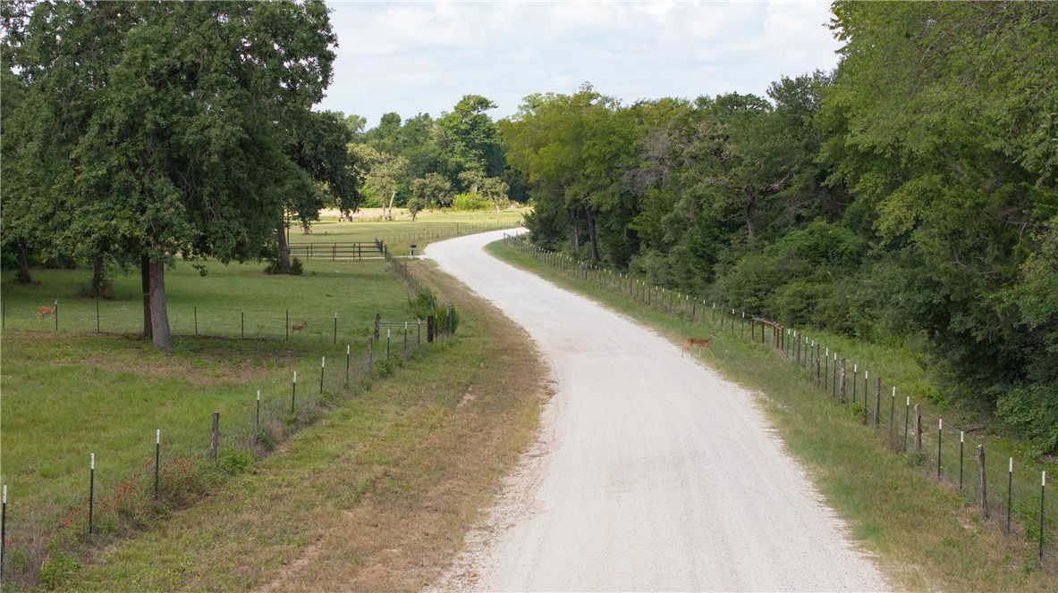 4074 Bucksnort Road Franklin, TX 77856 - Photo 41 of 41