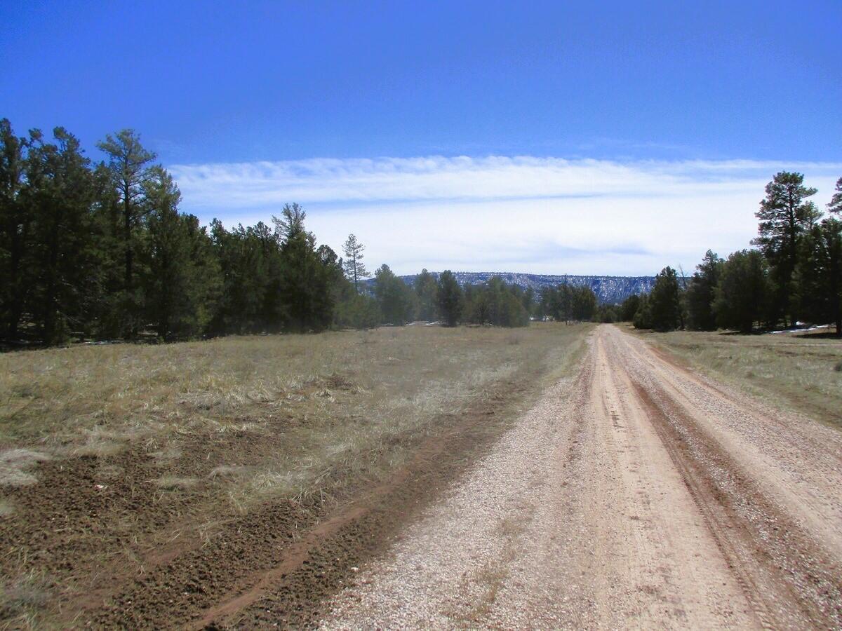 Lot 5 Copperweed Road Ramah, NM 87321 - Photo 59 of 88 Gallery Image 59