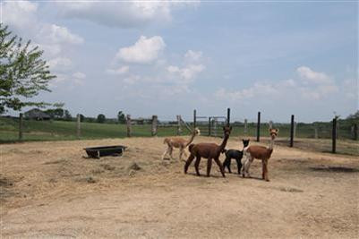 658 Pea Ridge Road Stamping Ground, KY 40379 - Photo 27 of 34 Photo 27