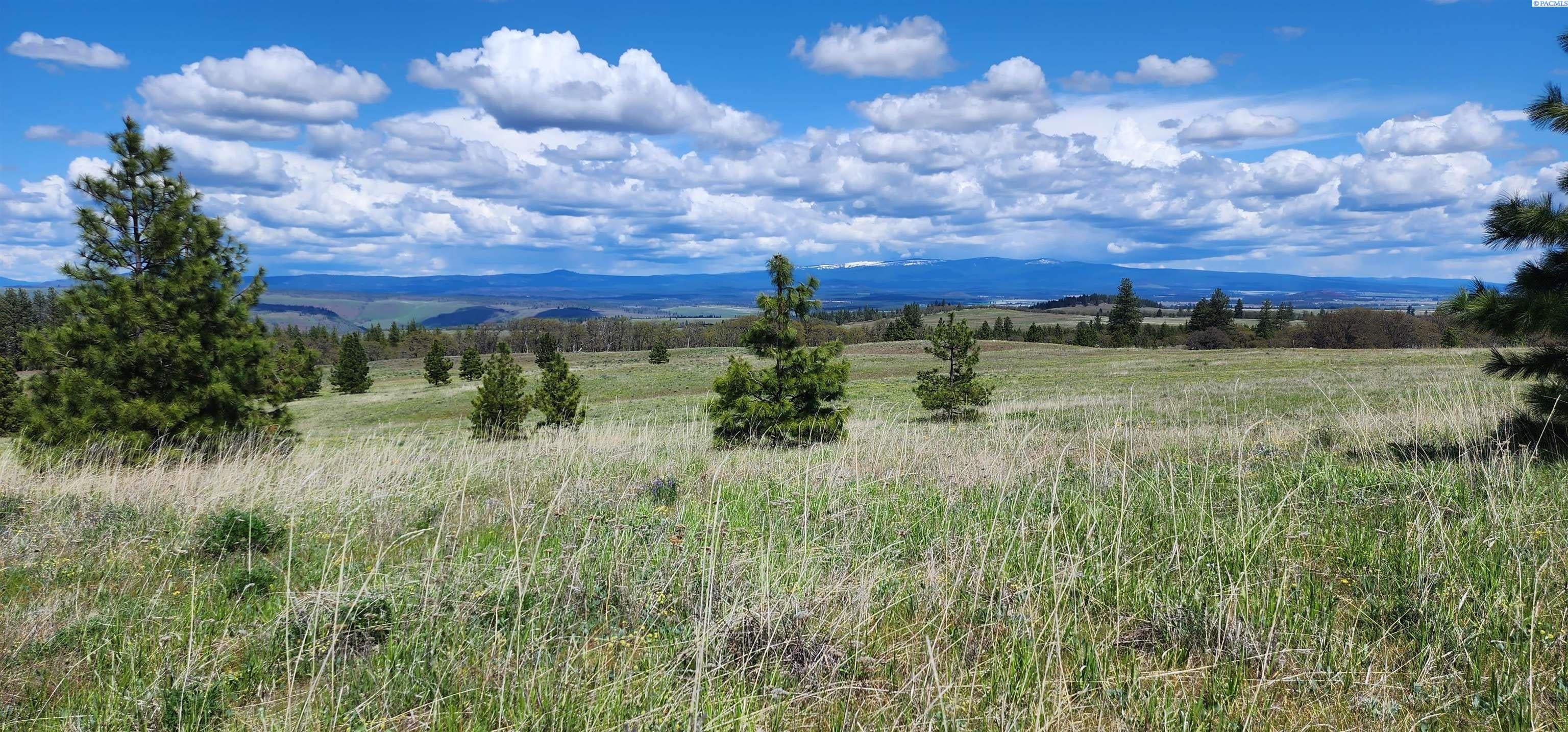 Lot 18 Schilling Road Lyle, WA 98635 - Photo 15 of 39 Gallery Image 15