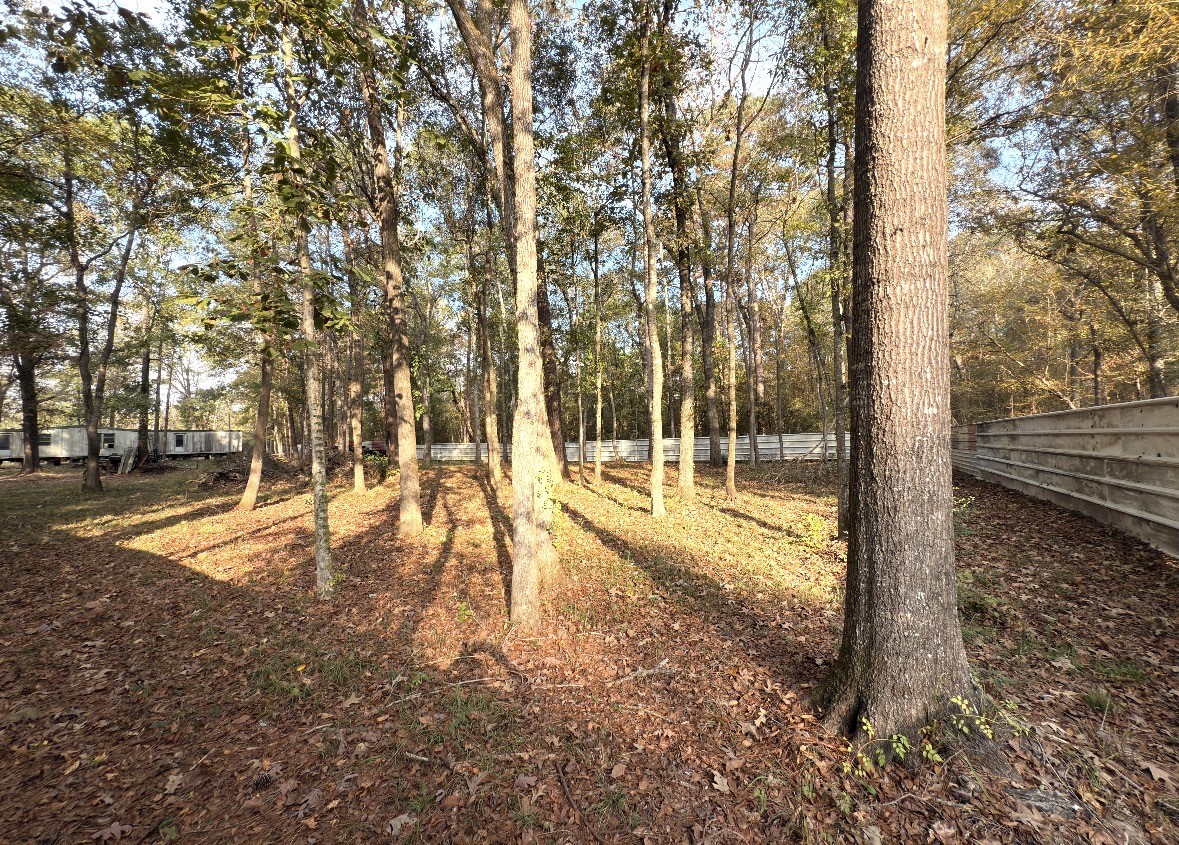 256 County Road 2146 Cleveland, TX 77327 - Photo 3 of 6 a view of yard