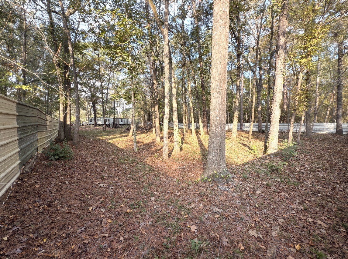 256 County Road 2146 Cleveland, TX 77327 - Photo 4 of 6 a view of yard with trees