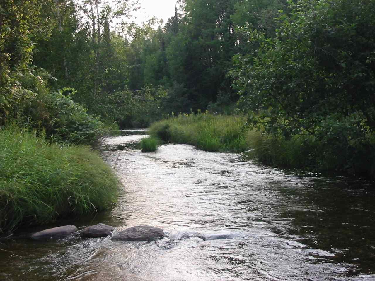 5 River Road Millersburg, MI 49759 - Photo 1 of 7