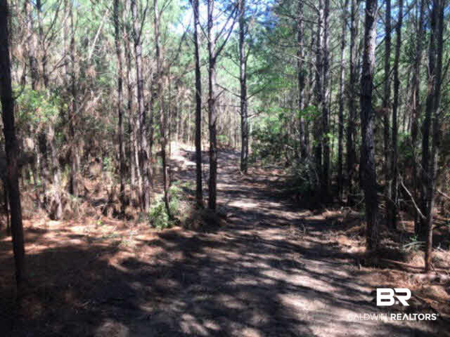 38540 County Road 39 Stapleton, AL 36578 - Photo 3 of 15