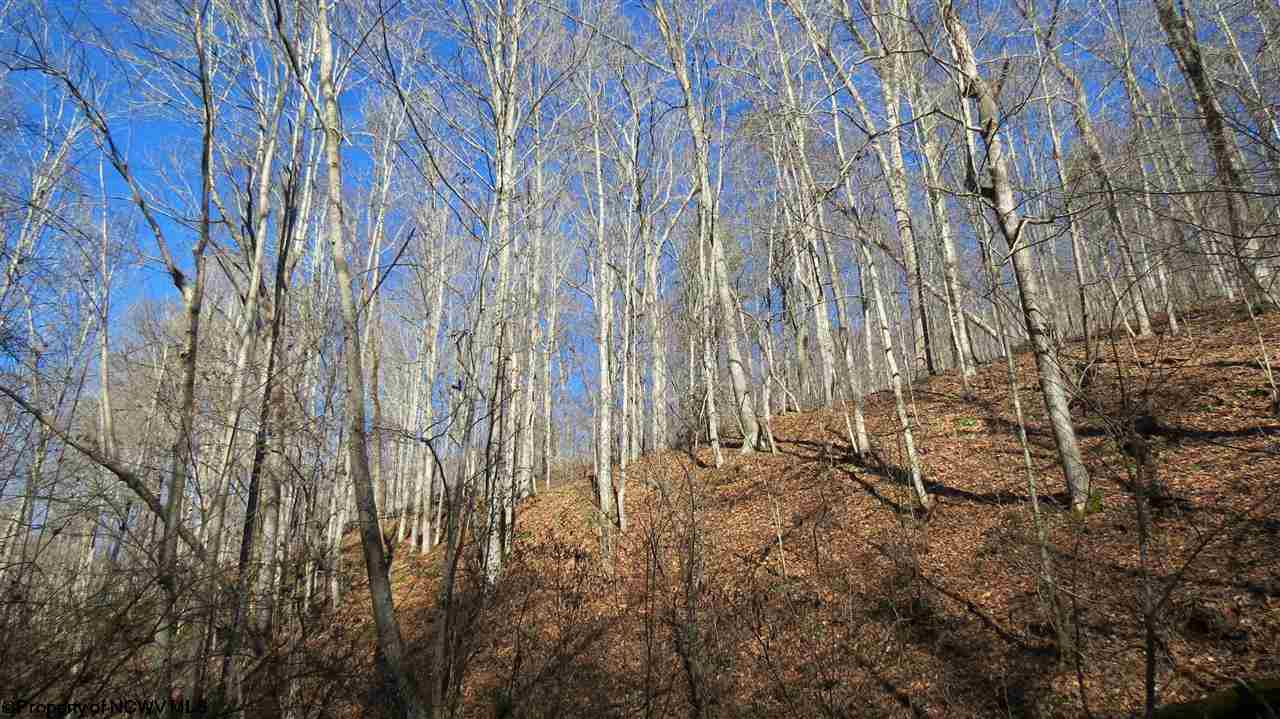 50 Otto Road Spencer, WV 25276 - Photo 7 of 9 Gallery Image 7