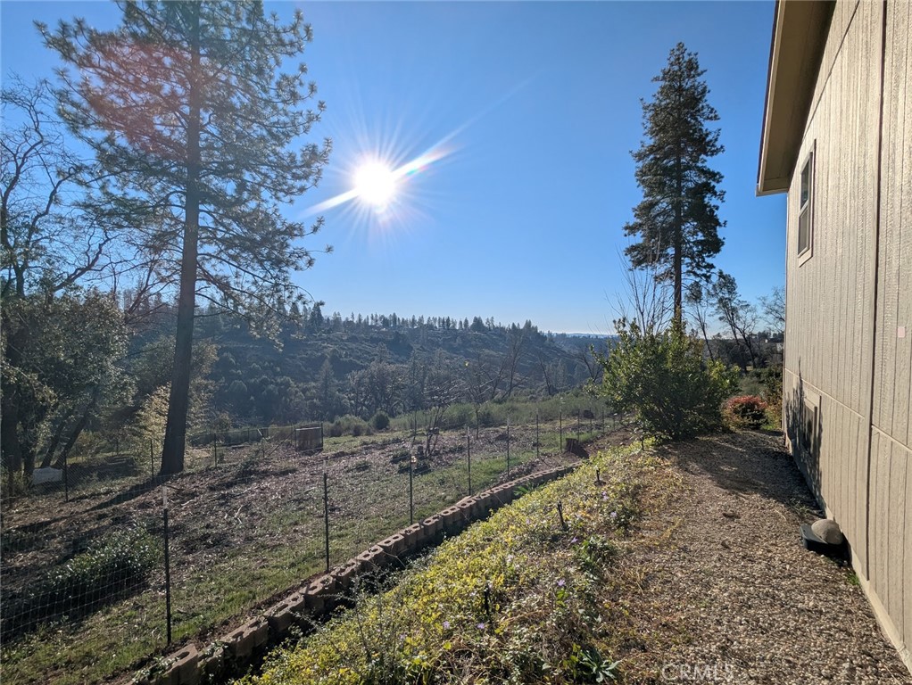 1658 Jaramillo Lane Paradise, CA 95969 - Photo 40 of 54 a view of a yard with wooden fence