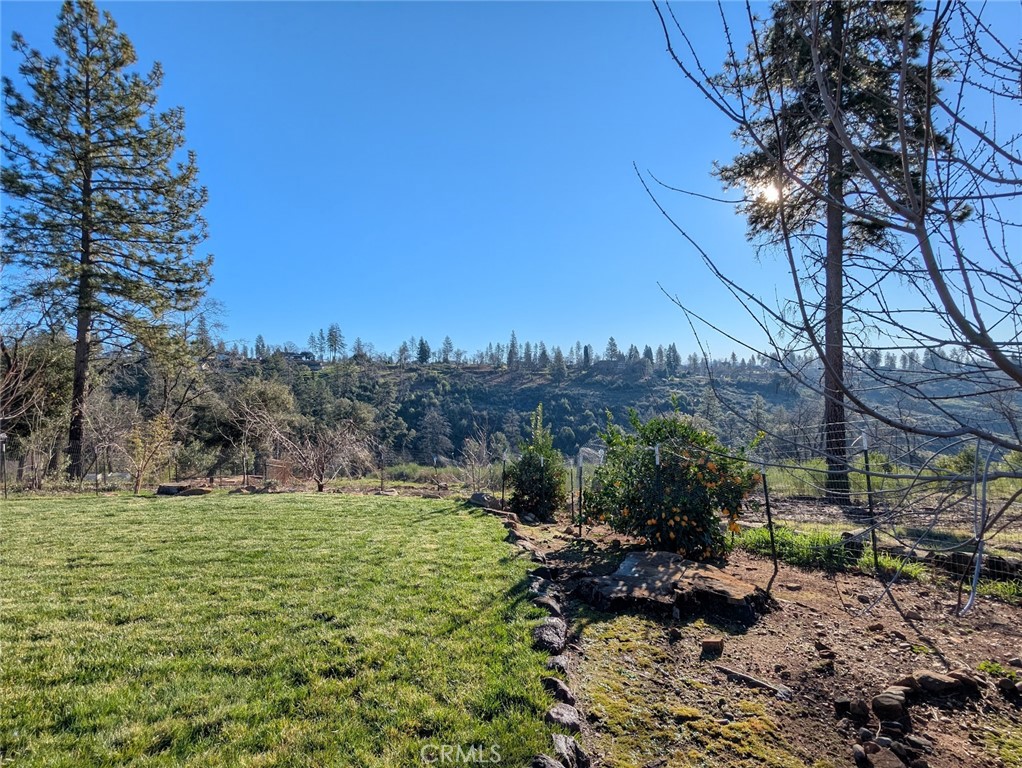 1658 Jaramillo Lane Paradise, CA 95969 - Photo 45 of 54 a view of outdoor space yard and trees