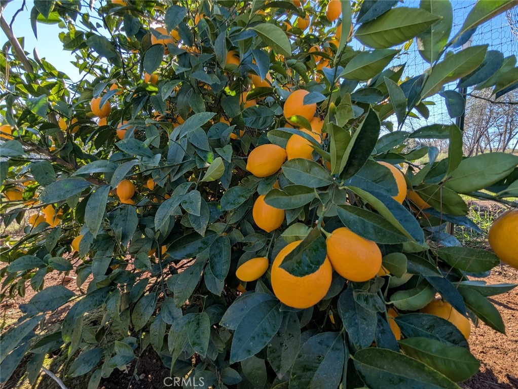 1658 Jaramillo Lane Paradise, CA 95969 - Photo 51 of 54 a view of a swimming pool with a dining table and chairs