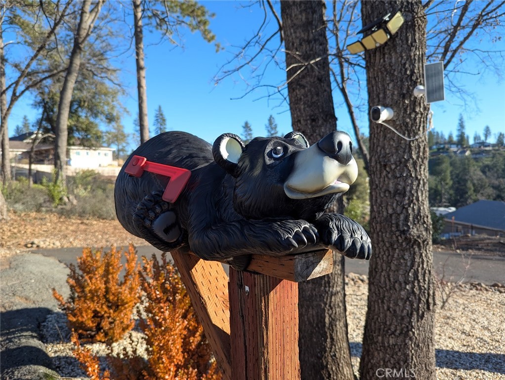 1658 Jaramillo Lane Paradise, CA 95969 - Photo 53 of 54