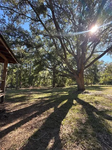 a view of dirt yard with a large tree