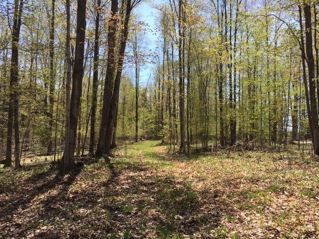Metzke Road Alpena, MI 49707 - Photo 23 of 24 Gallery Image 23