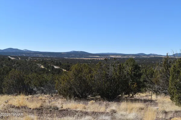 $49,900 | Tbd Stanford Drive, Concho, AZ 85924