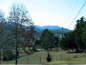 120 Harrison Road Greeneville, TN 37743 - Photo 3 of 9 Photo 3