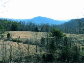 120 Harrison Road Greeneville, TN 37743 - Photo 8 of 9 Photo 8