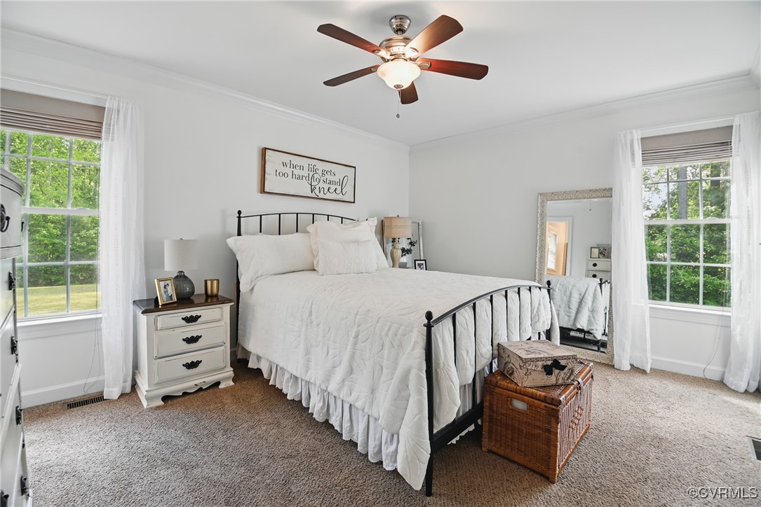 14609 Gatewood Road Dewitt, VA 23840 - Photo 11 of 25 Carpeted bedroom with ornamental molding, baseboar