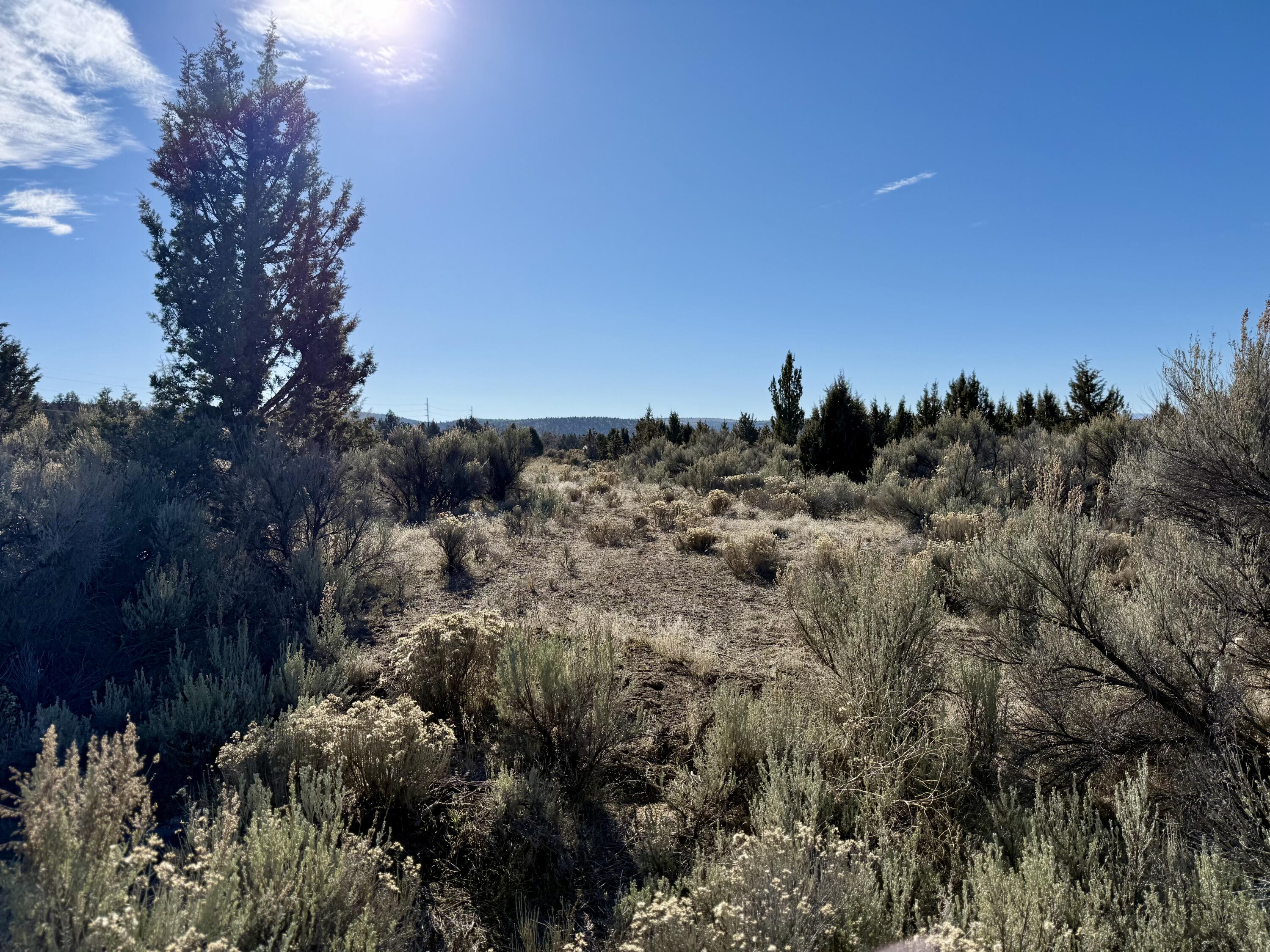 Southeast Riverdance Road, Unit TL 410 Prineville, OR 97754 - Photo 7 of 11 7 - 07 Riverdance IMG_5719