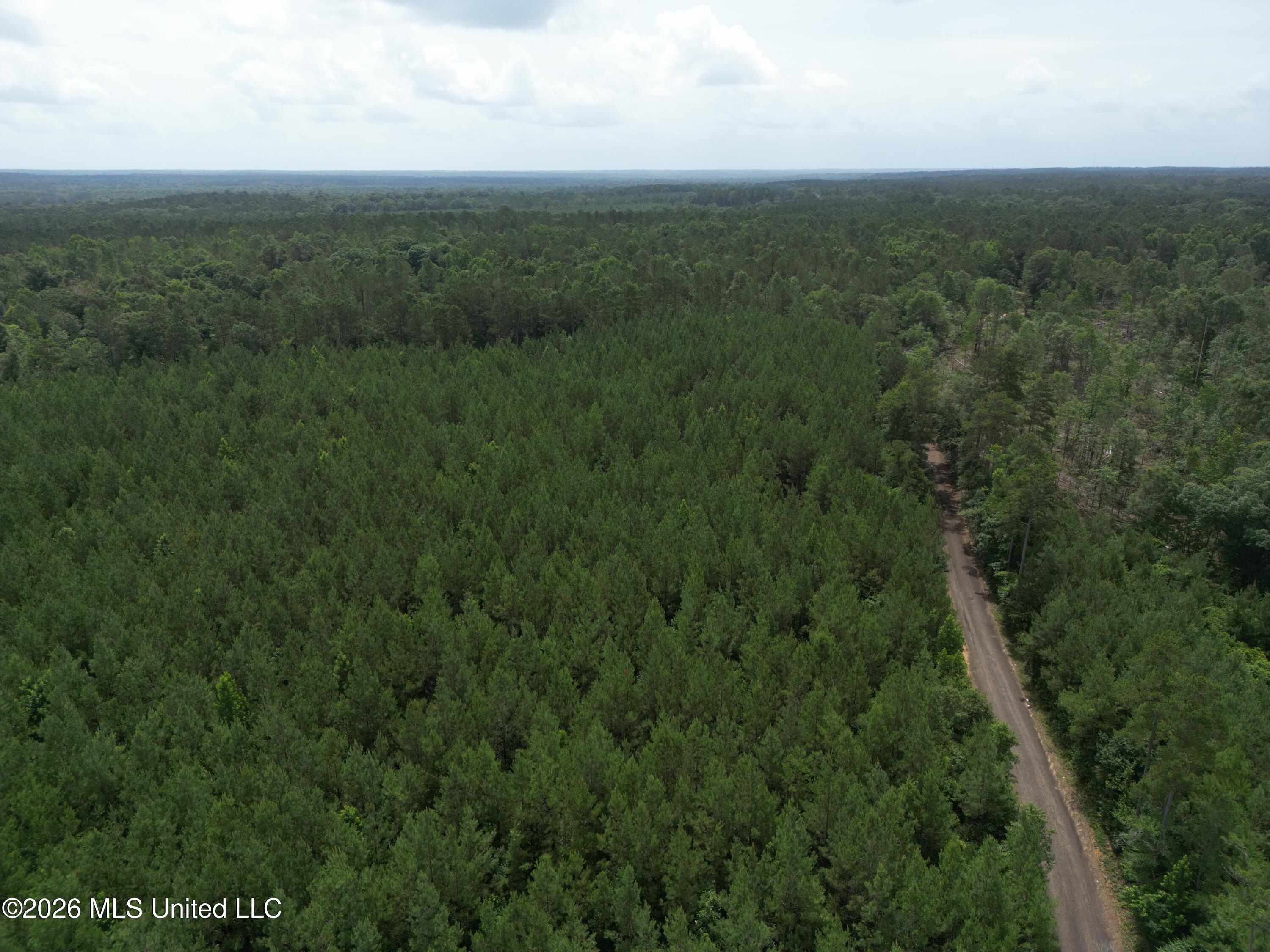 Summit Holmesville Road McComb, MS 39648 - Photo 15 of 29 DJI_0623