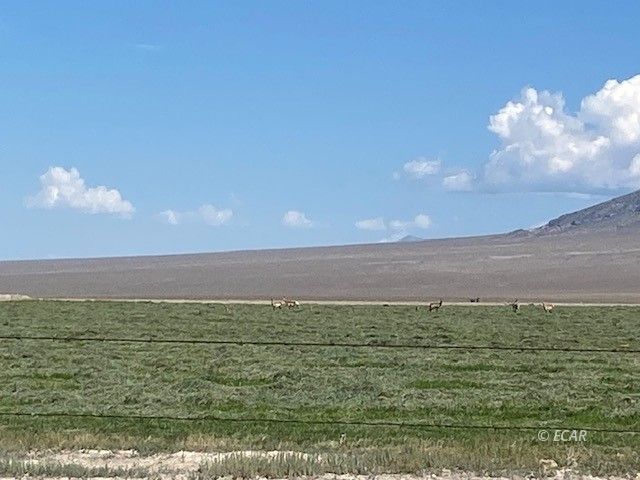 1199 Fire Station Road South Ely, NV 89301 - Photo 39 of 46