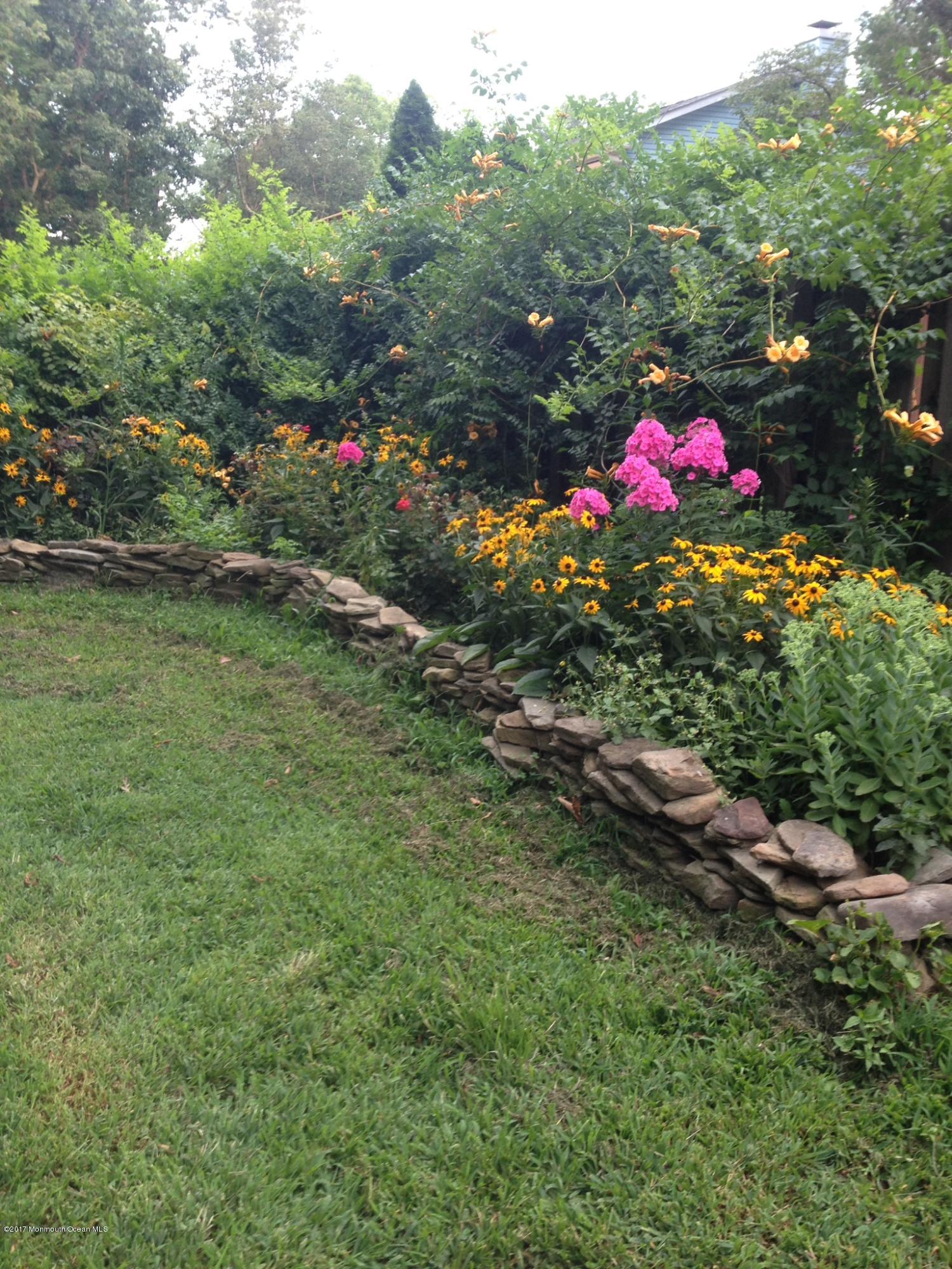 12 Afton Road Jackson, NJ 08527 - Photo 54 of 58 Backyard