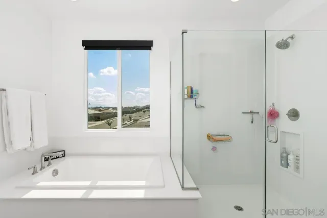 a bathroom with a bathtub and a shower