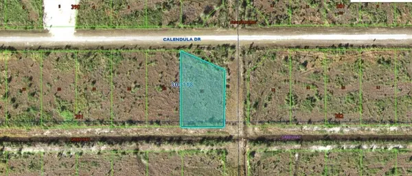 $40,000 | 501 Calendula Drive, Indian Lake Estates, FL 33843