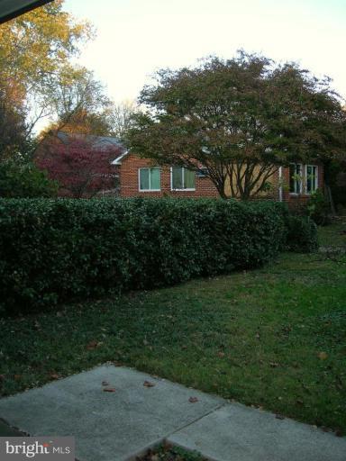 13 Ridge Road, Unit U Greenbelt, MD 20770 - Photo 19 of 23 Back yard