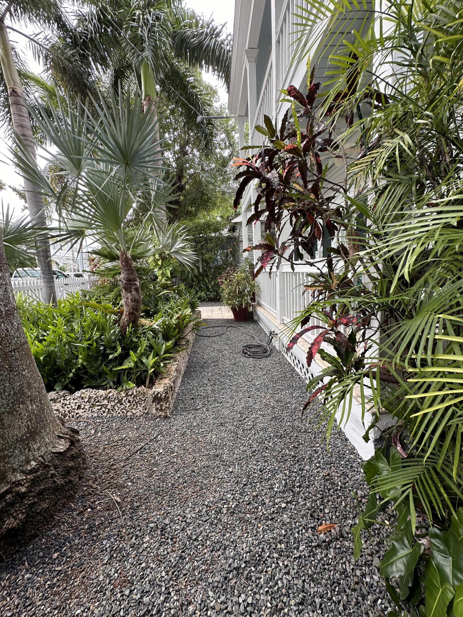 817 Eaton Street, Unit 1 Key West, FL 33040 - Photo 26 of 30 a plant that is in a garden