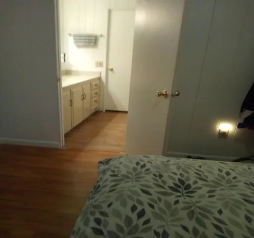 a view of a backyard with plants and large trees