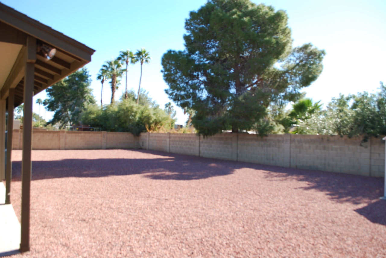 4223 East Hearn Road Phoenix, AZ 85032 - Photo 3 of 19 Back 2
