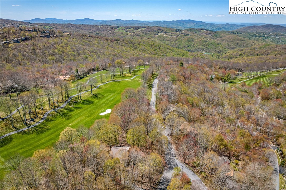 201 Grassy Gap Loop Road Beech Mountain, NC 28604 - Photo 12 of 16