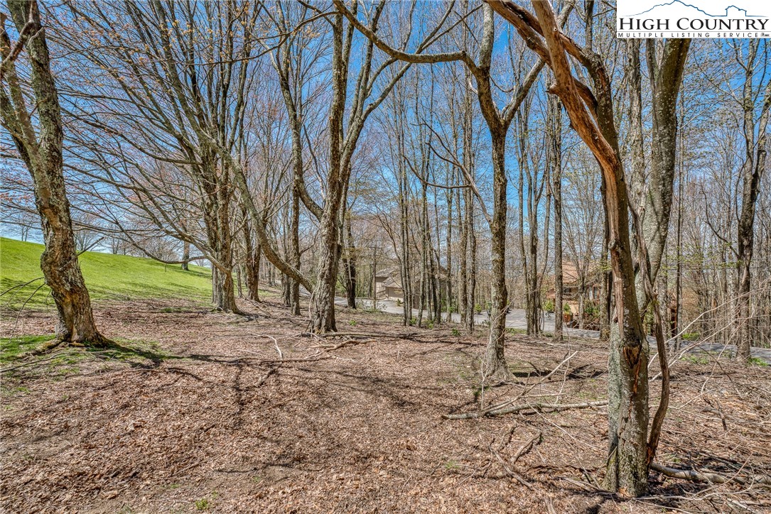 201 Grassy Gap Loop Road Beech Mountain, NC 28604 - Photo 3 of 16