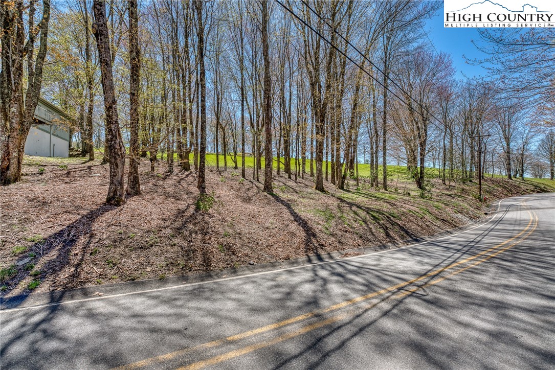 201 Grassy Gap Loop Road Beech Mountain, NC 28604 - Photo 8 of 16