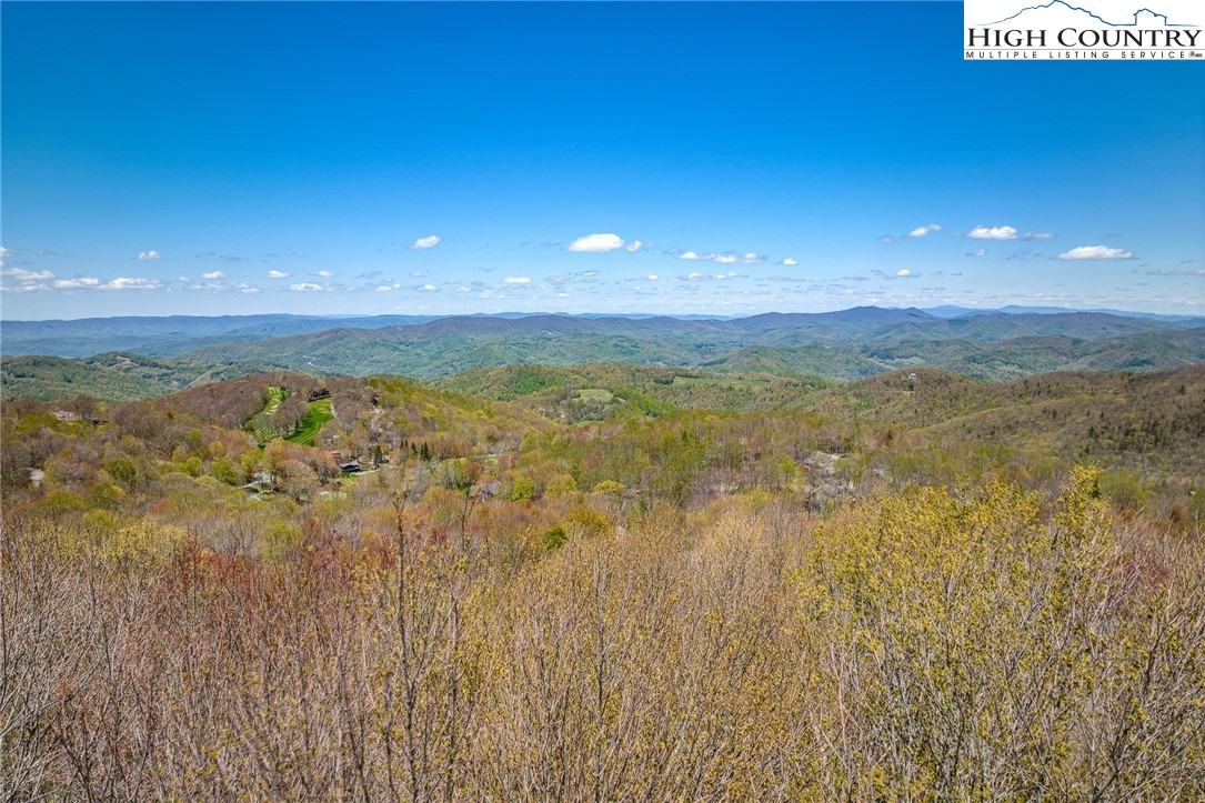 201 Grassy Gap Loop Road Beech Mountain, NC 28604 - Photo 9 of 16