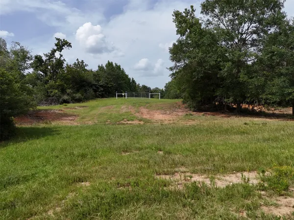 a view of field with trees in the background