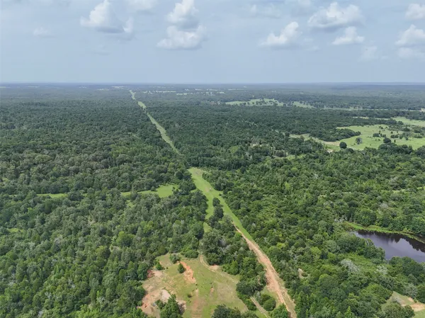 a view of a field with an ocean and trees