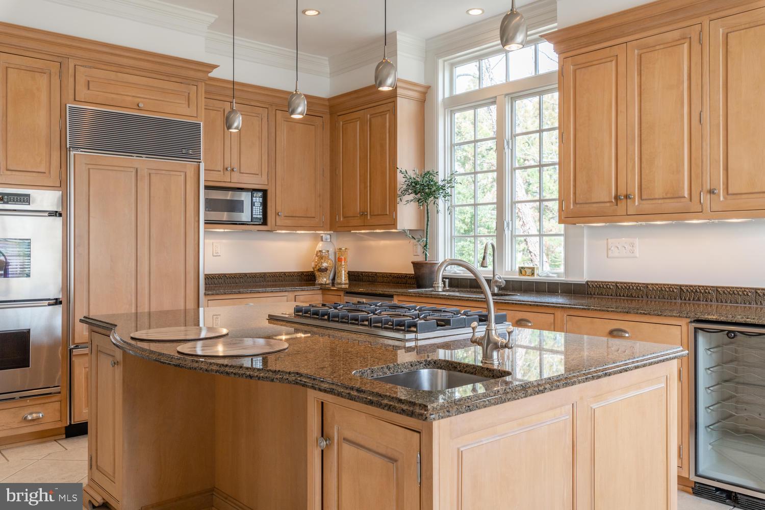 4004 Carson Place Alexandria, VA 22304 - Photo 39 of 93 6 burner Viking range and 2nd sink