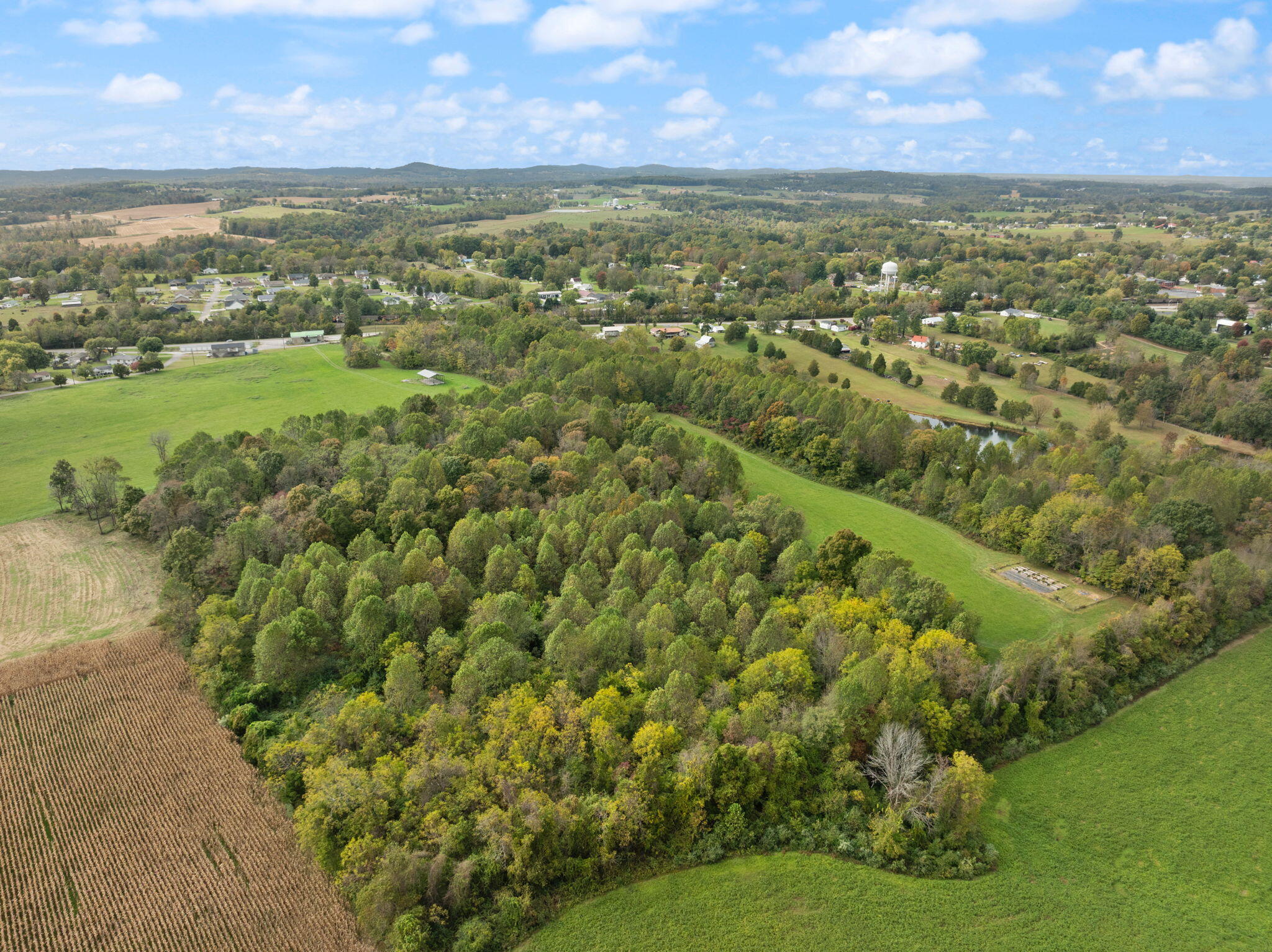 1 Tilley Loop Science Hill, KY 42553 - Photo 9 of 26 25-web-or-mls-DJI_0273