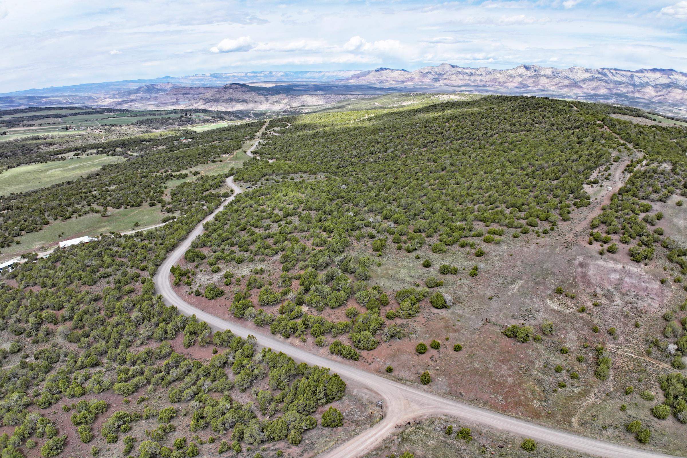 Tbd KK Road Collbran, CO 81624 - Photo 3 of 11 a view of a field