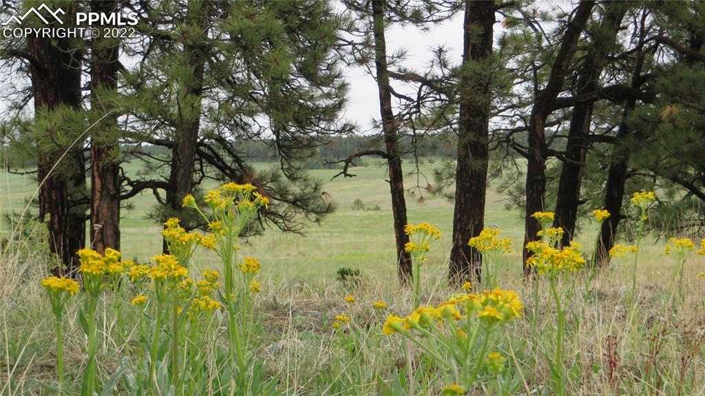 Undisclosed Address Elbert, CO 80106 - Photo 12 of 37 a view of a lake view