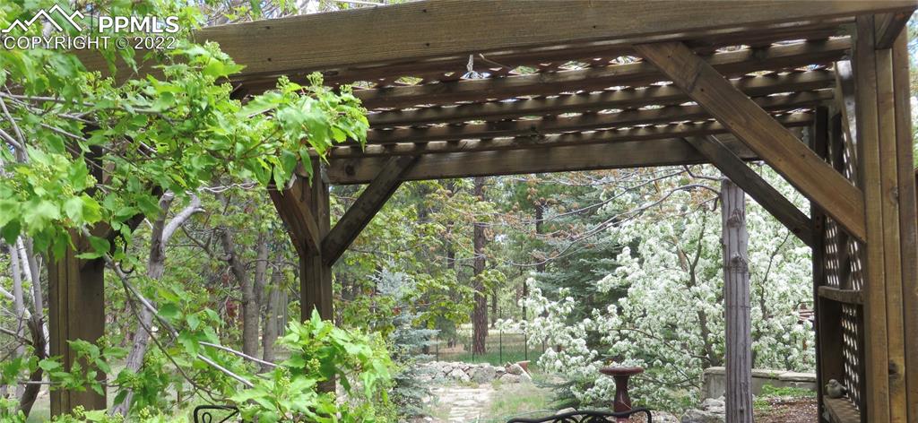 Undisclosed Address Elbert, CO 80106 - Photo 14 of 37 a picture of trees