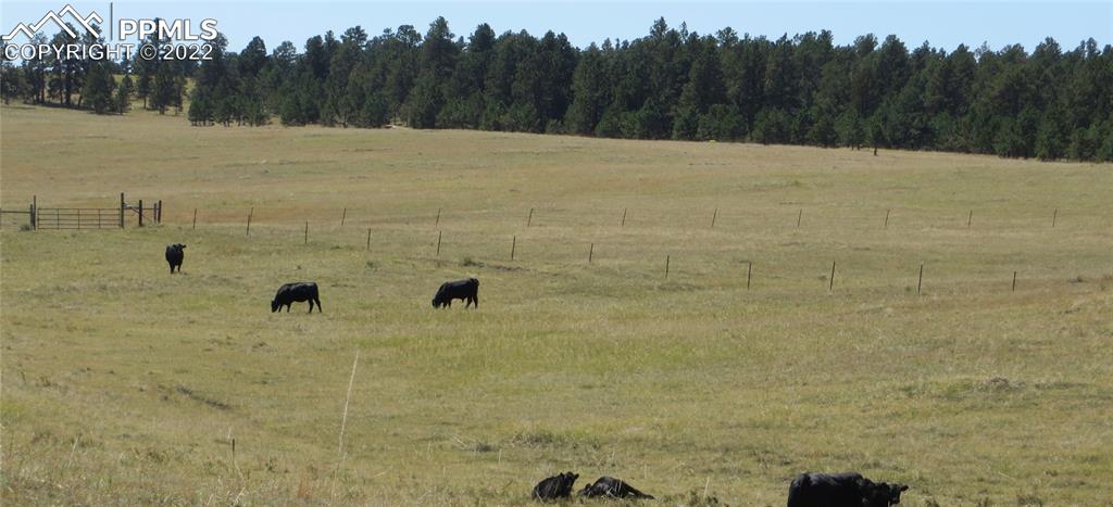 Undisclosed Address Elbert, CO 80106 - Photo 15 of 37 a view of a bathroom