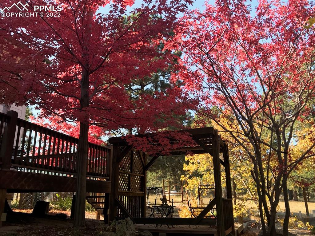 Undisclosed Address Elbert, CO 80106 - Photo 16 of 37 a view of a backyard