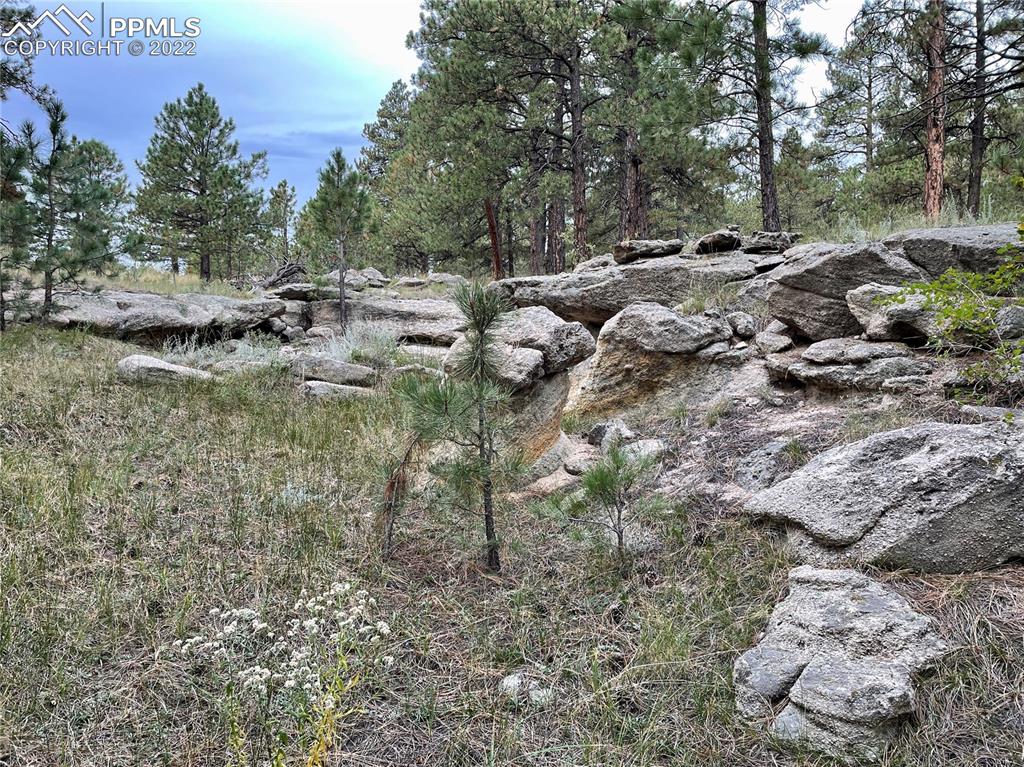 Undisclosed Address Elbert, CO 80106 - Photo 20 of 37 a view of the top of a house with a yard