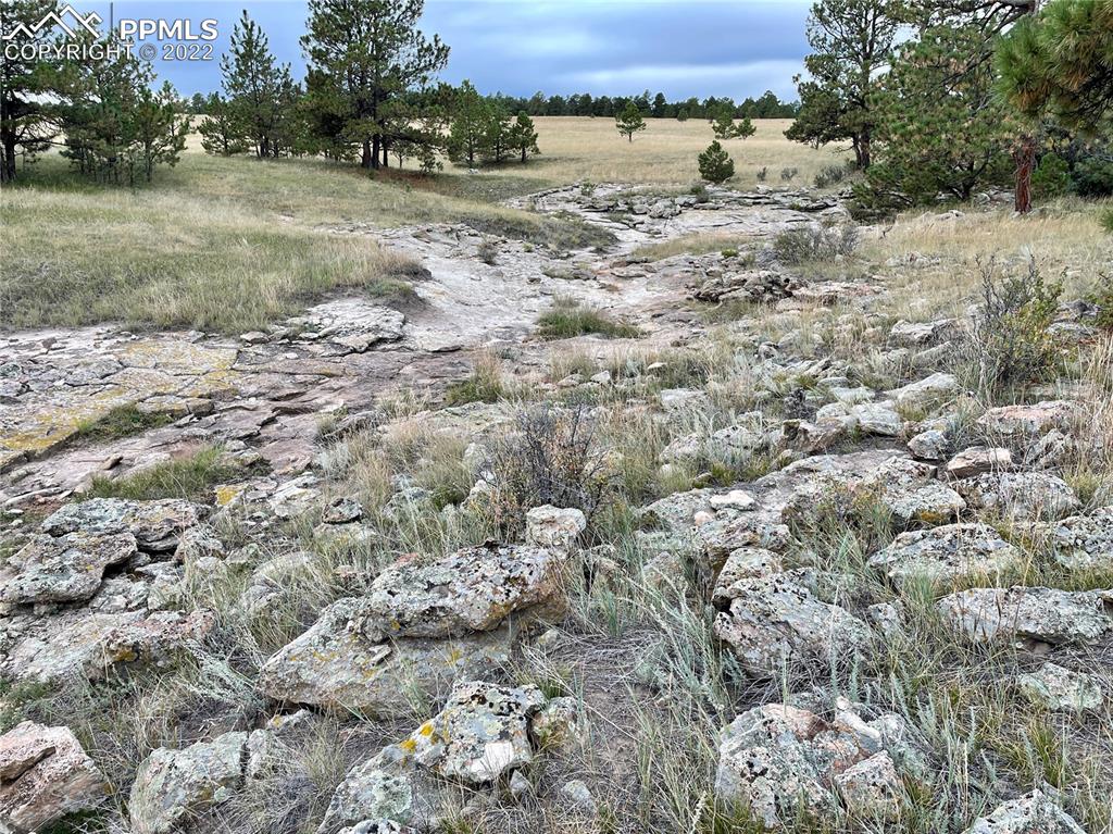 Undisclosed Address Elbert, CO 80106 - Photo 21 of 37 a view of a dry yard with wooden floor and fence